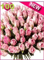 Pink Roses - 100 long stem roses